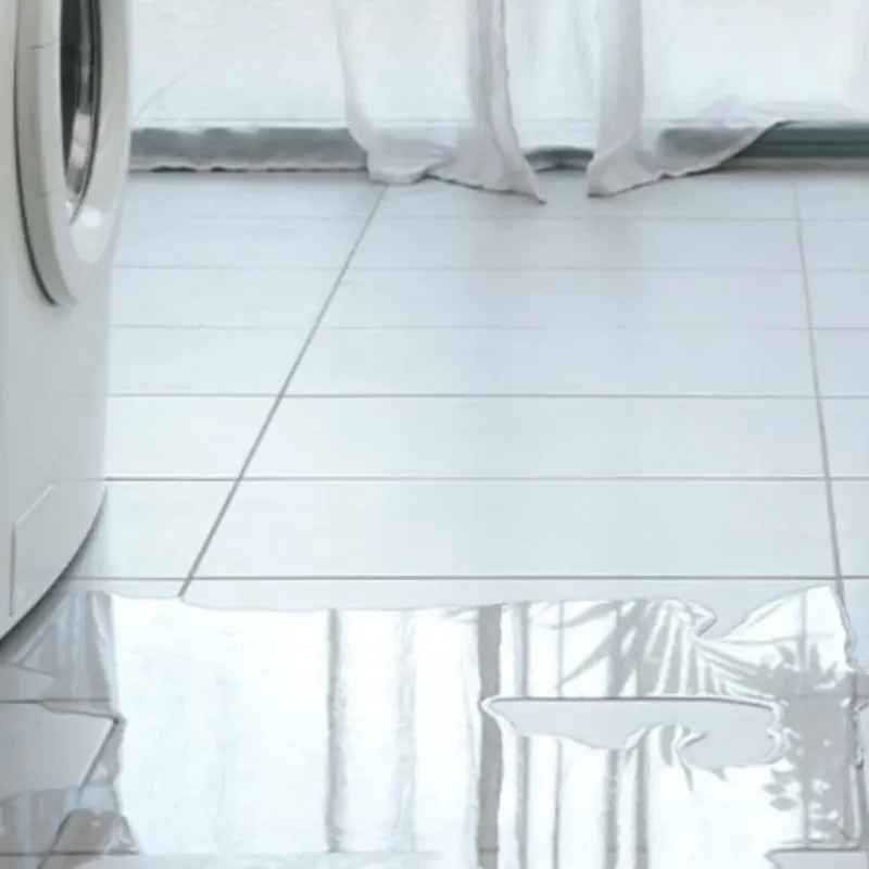 Appliance Leak Cleanup in Washburn County, WI
