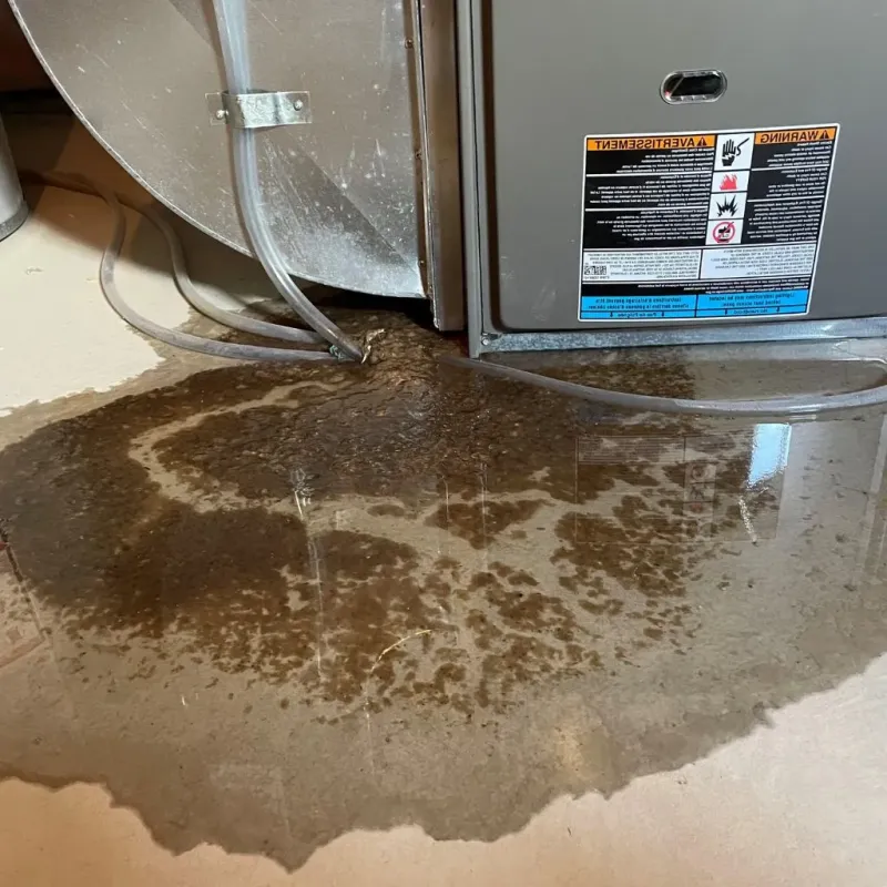 Pipe Burst and Leak Restoration in Washburn County, WI